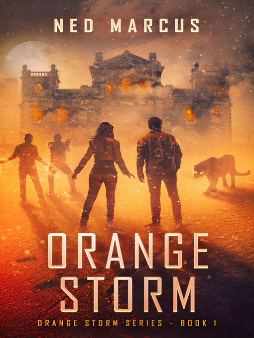 Title details for Orange Storm by Ned Marcus - Available